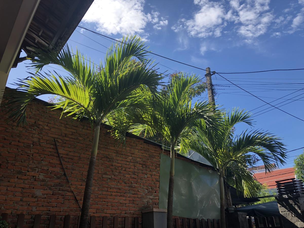 Three Palms Homestay Hoi An Dış mekan fotoğraf